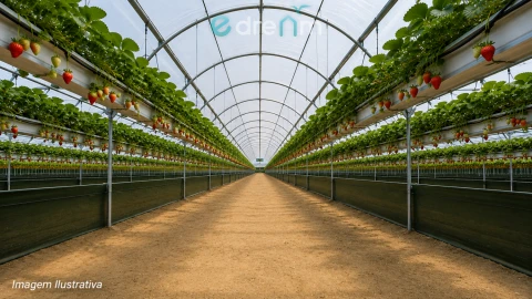 Terreno para Venda em Palmela