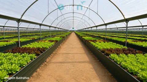 Terreno para Venda em Palmela