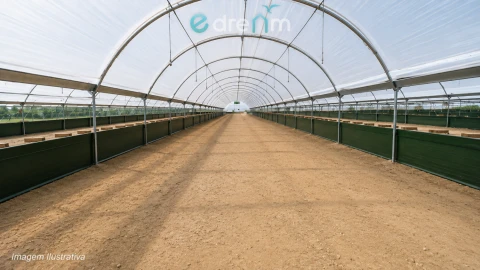 Terreno para Venda em Palmela