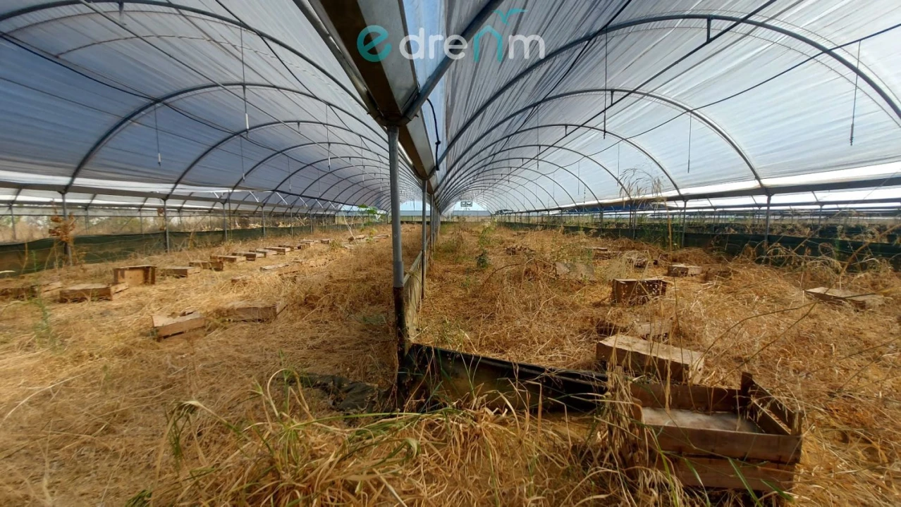 Terreno para Venda em Palmela Foto 12