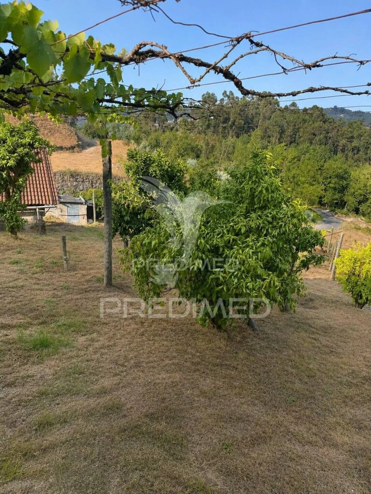 Moradia T3 para Venda em Fafe Foto 13