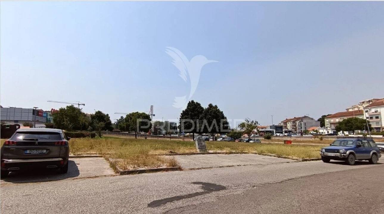 Terreno para Venda em Romeira e Várzea Foto 12