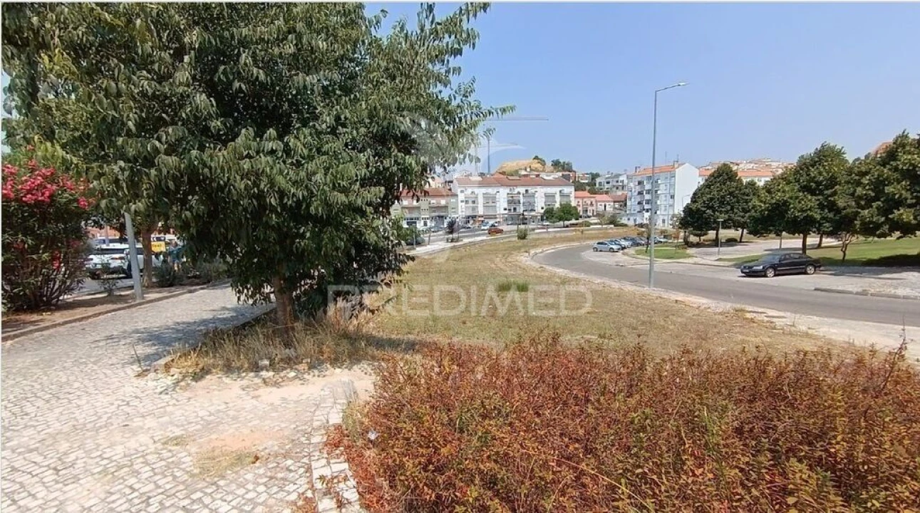 Terreno para Venda em Romeira e Várzea Foto 10