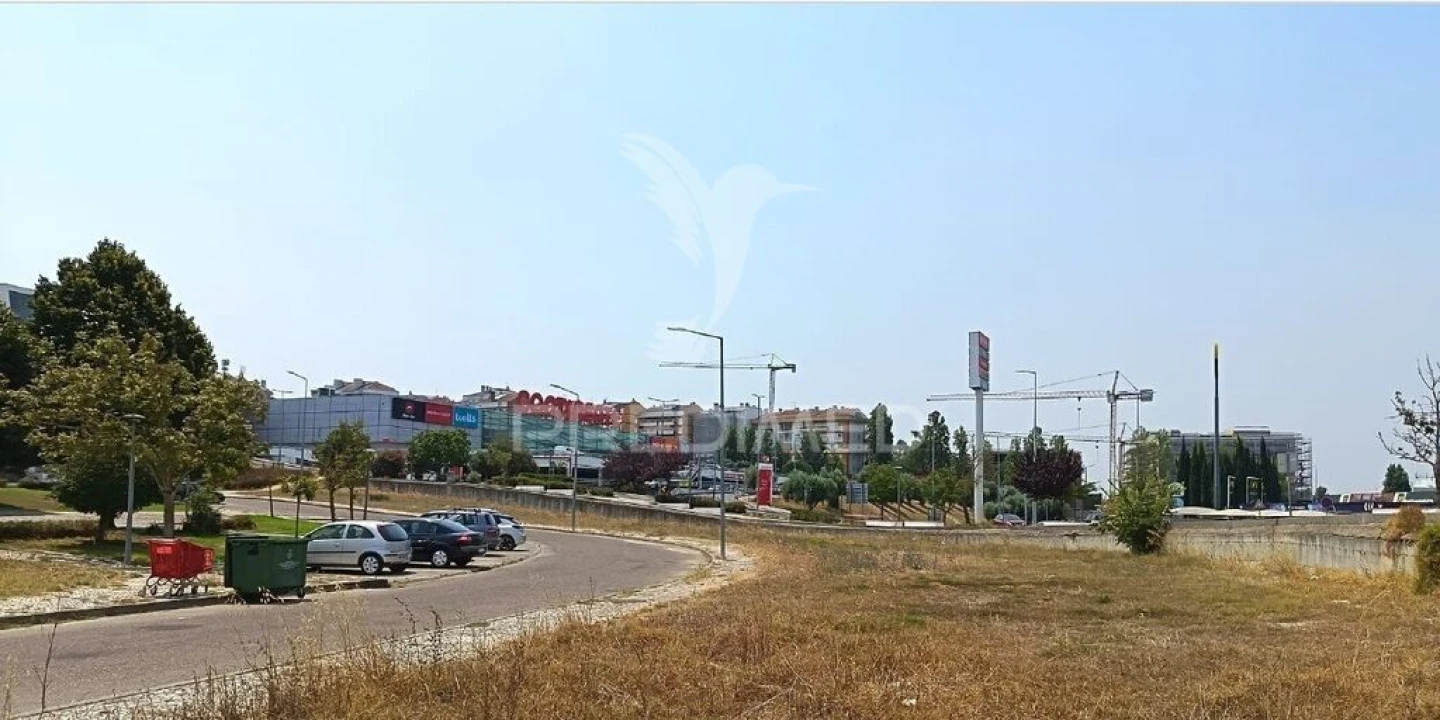 Terreno para Venda em Romeira e Várzea Foto 8