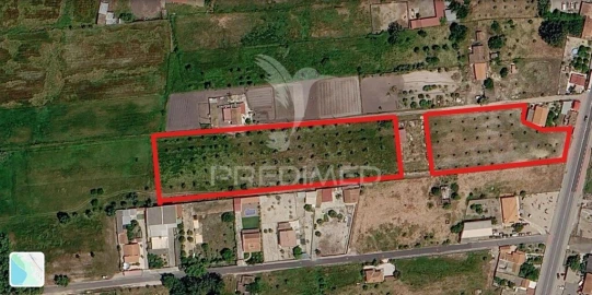 Terreno para Arrendamento em Grândola e Santa Margarida da Serra