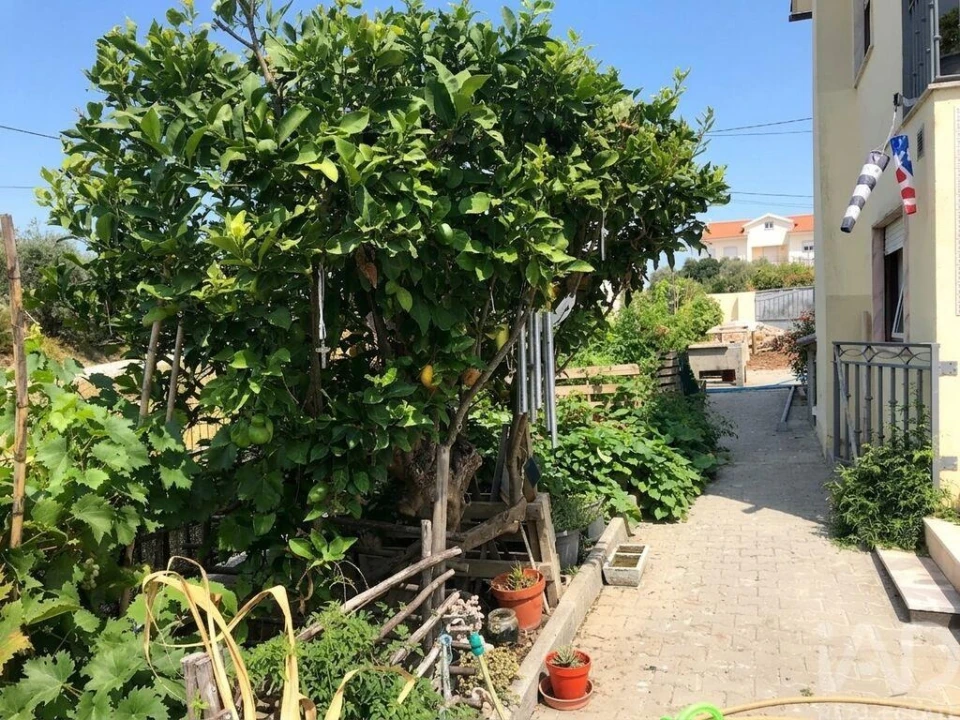 Moradia T4 para Venda em Louriçal Foto 7