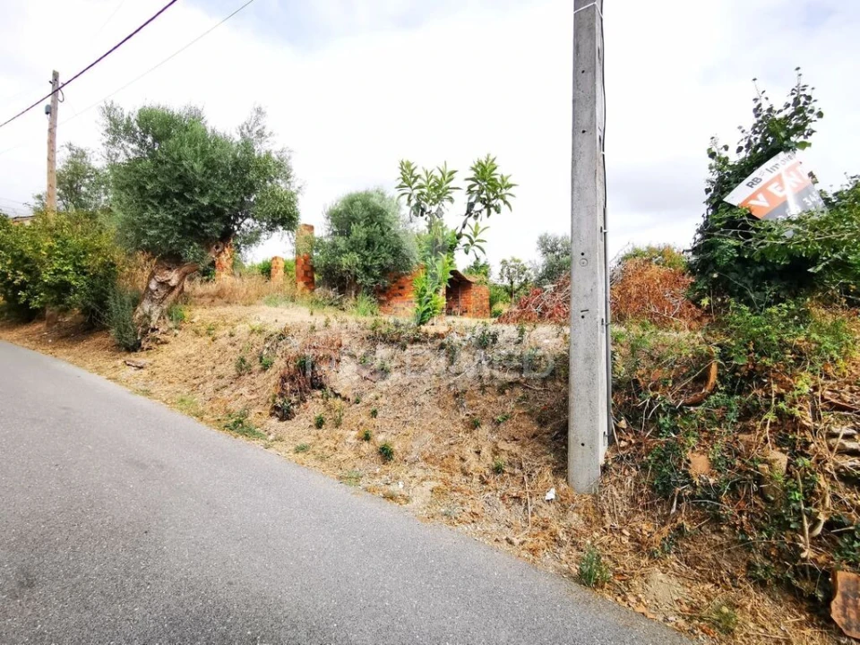 Terreno para Venda em Paialvo Foto 4