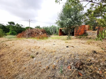 Terreno para Venda em Paialvo