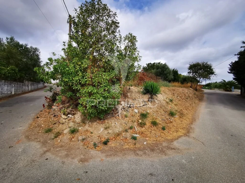 Terreno para Venda em Paialvo Foto 5