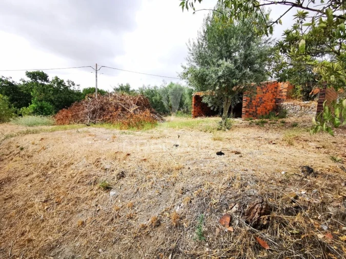 Terreno para Venda em Paialvo Foto 8