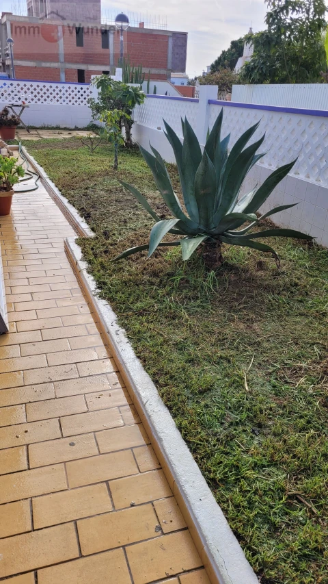 Moradia T4 para Venda em Montenegro