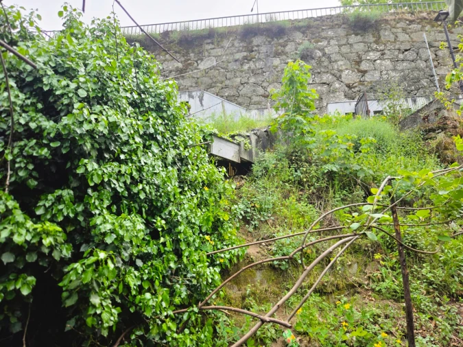 Moradia T3 para Venda em Lamego (Almacave e Sé) Foto 18