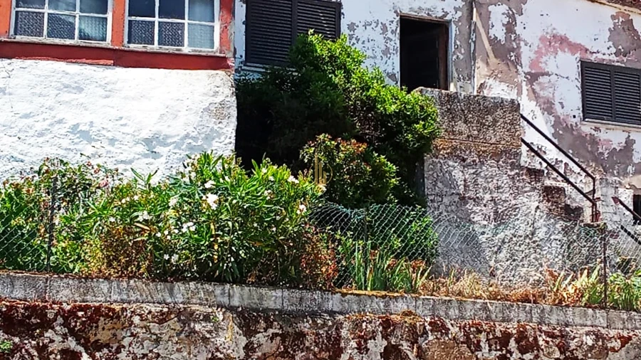 Moradia T2 para Venda em Penso e Freixinho