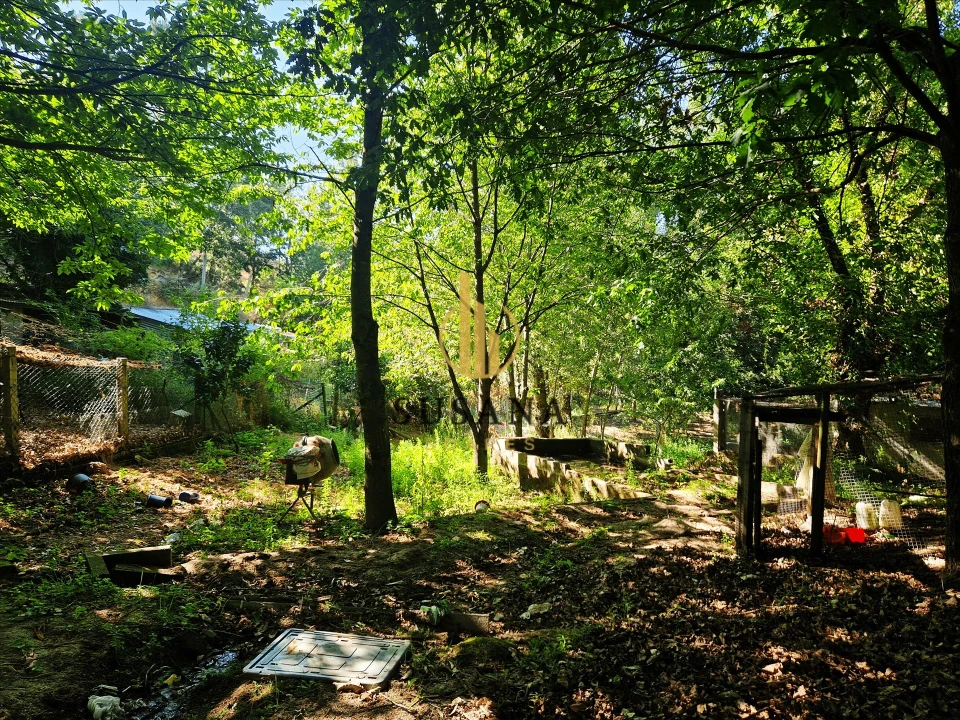 Quinta T3 para Venda em Gove Foto 59
