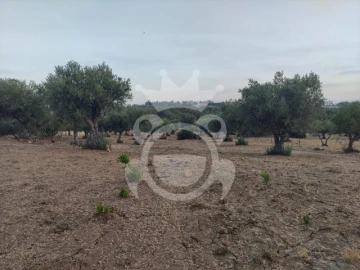 Terreno para Venda em Reguengos de Monsaraz