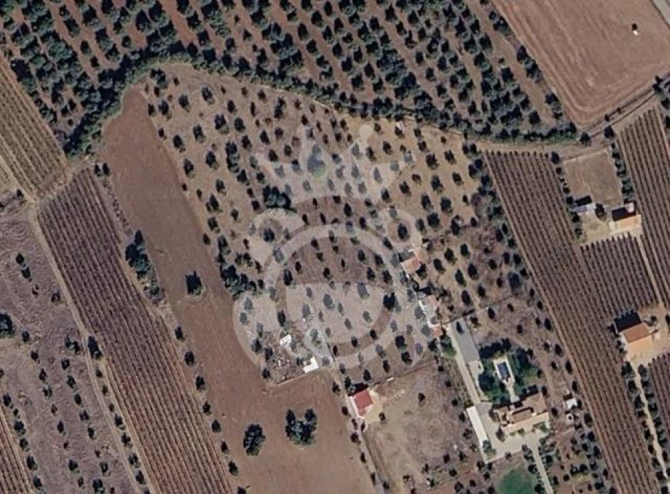 Terreno para Venda em Reguengos de Monsaraz Foto 4