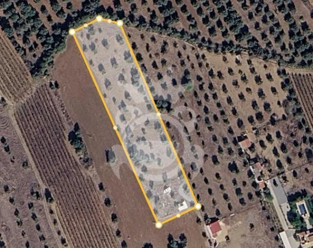 Terreno para Venda em Reguengos de Monsaraz Foto 5