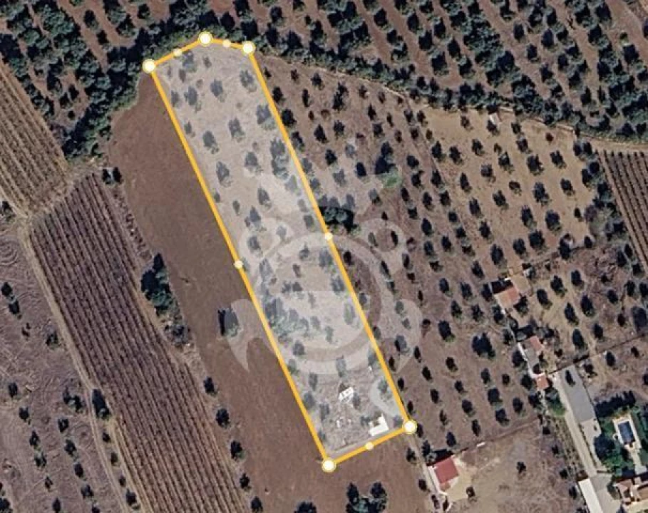 Terreno para Venda em Reguengos de Monsaraz Foto 5