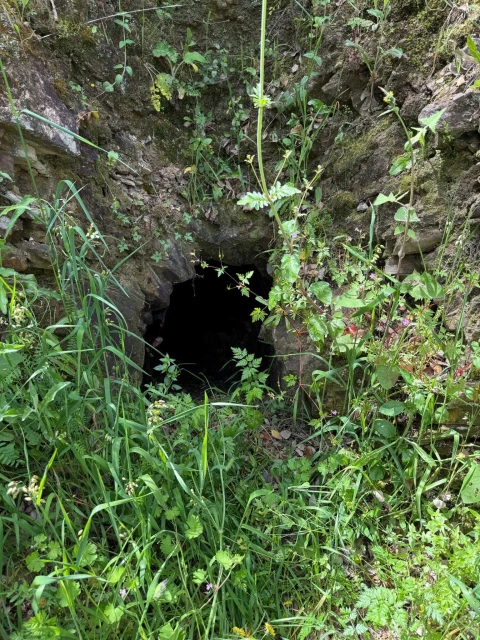 Terreno para Venda em Vila de Rei