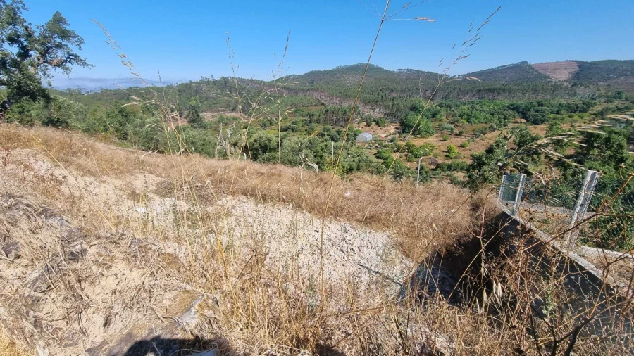 Terreno para Venda em Vila de Rei Foto 2