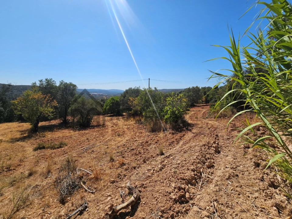 Terreno Agricola ou Rústico para Venda em Querença, Tôr e Benafim Foto 1