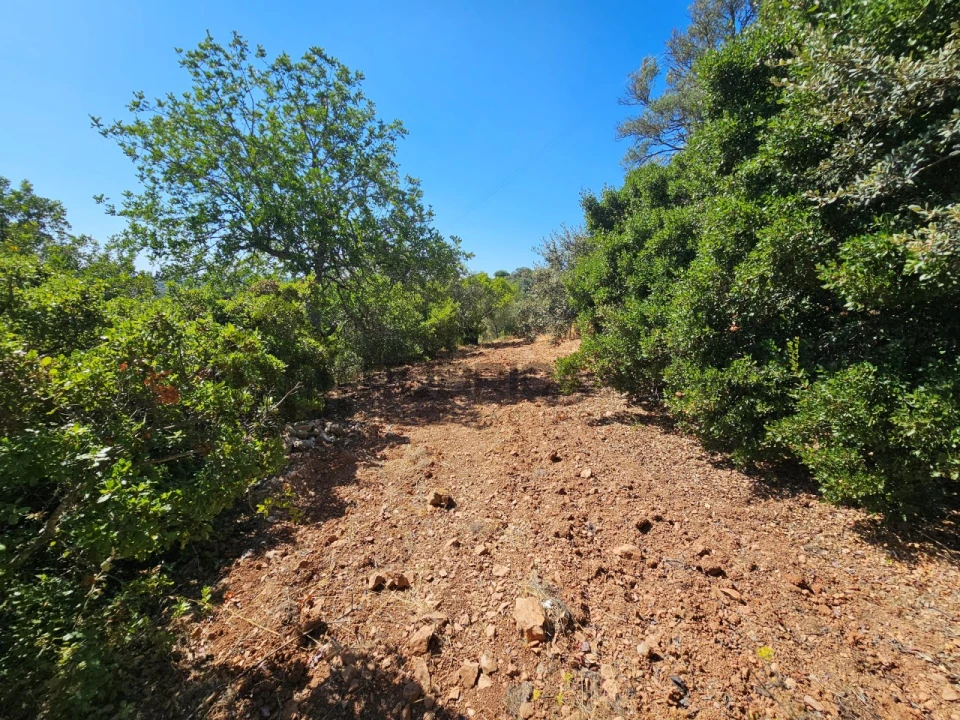 Terreno Agricola ou Rústico para Venda em Querença, Tôr e Benafim Foto 4