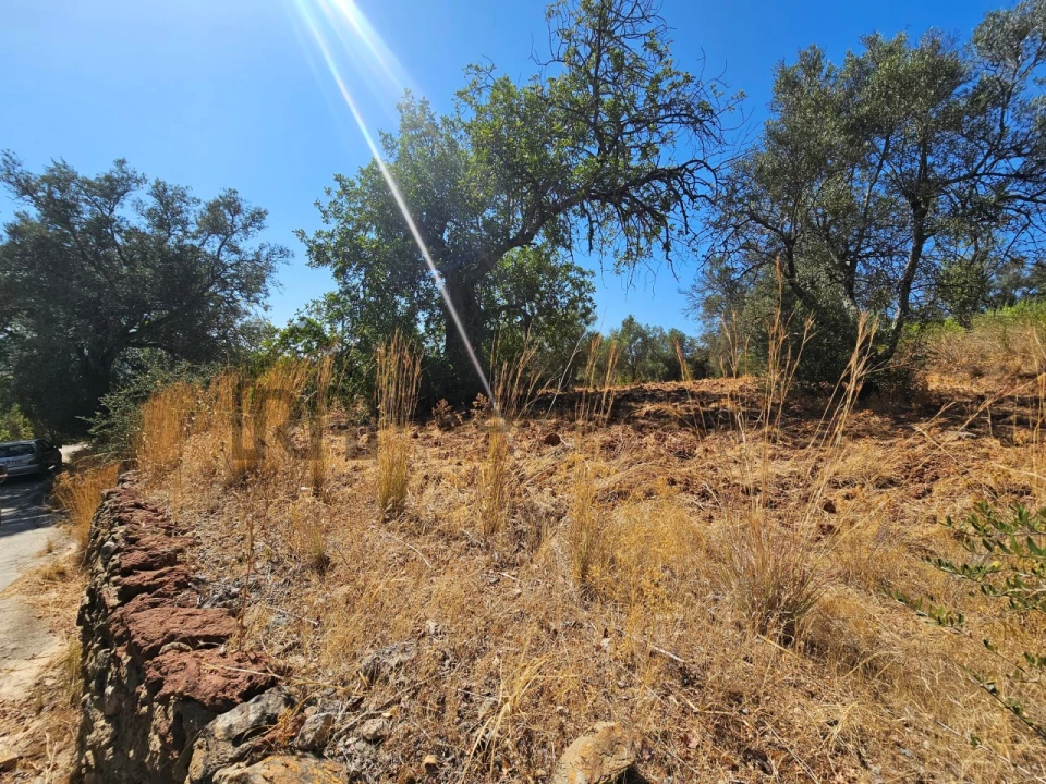 Terreno Agricola ou Rústico para Venda em Querença, Tôr e Benafim Foto 6