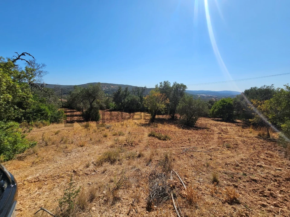 Terreno Agricola ou Rústico para Venda em Querença, Tôr e Benafim Foto 7