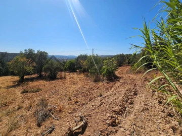 Terreno Agricola ou Rústico para Venda em Querença, Tôr e Benafim