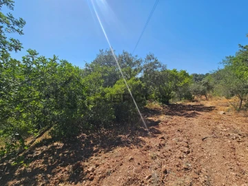 Terreno Agricola ou Rústico para Venda em Querença, Tôr e Benafim
