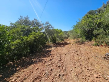 Terreno Agricola ou Rústico para Venda em Querença, Tôr e Benafim