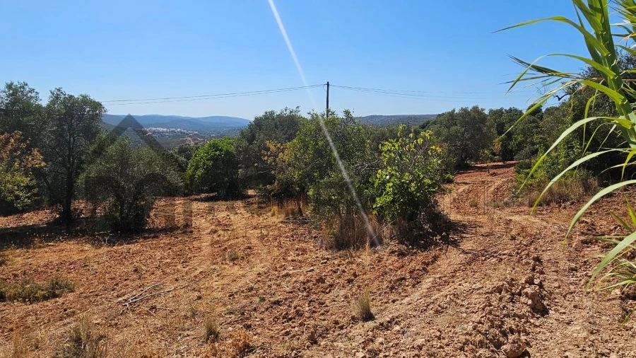 Terreno Agricola ou Rústico para Venda em Querença, Tôr e Benafim