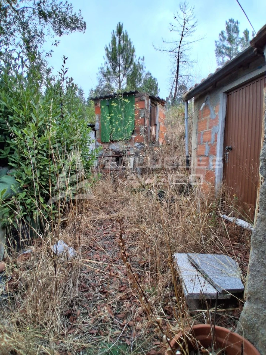 Moradia T3 para Venda em Águeda e Borralha Foto 20
