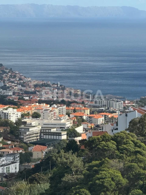 Moradia T3 para Venda em Santo Antonio