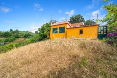Moradia T5 para Venda em Ponta do Sol