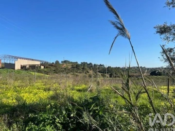Loja para Venda em Ventosa