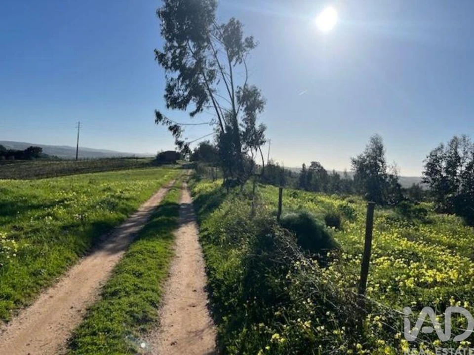 Loja para Venda em Ventosa Foto 8