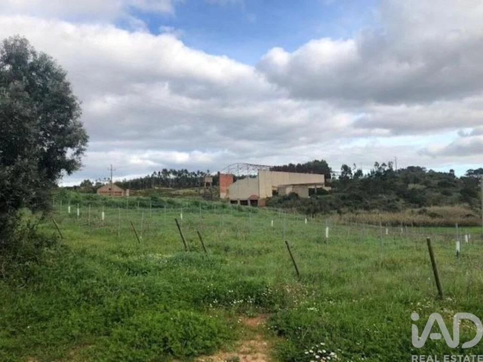 Loja para Venda em Ventosa Foto 6