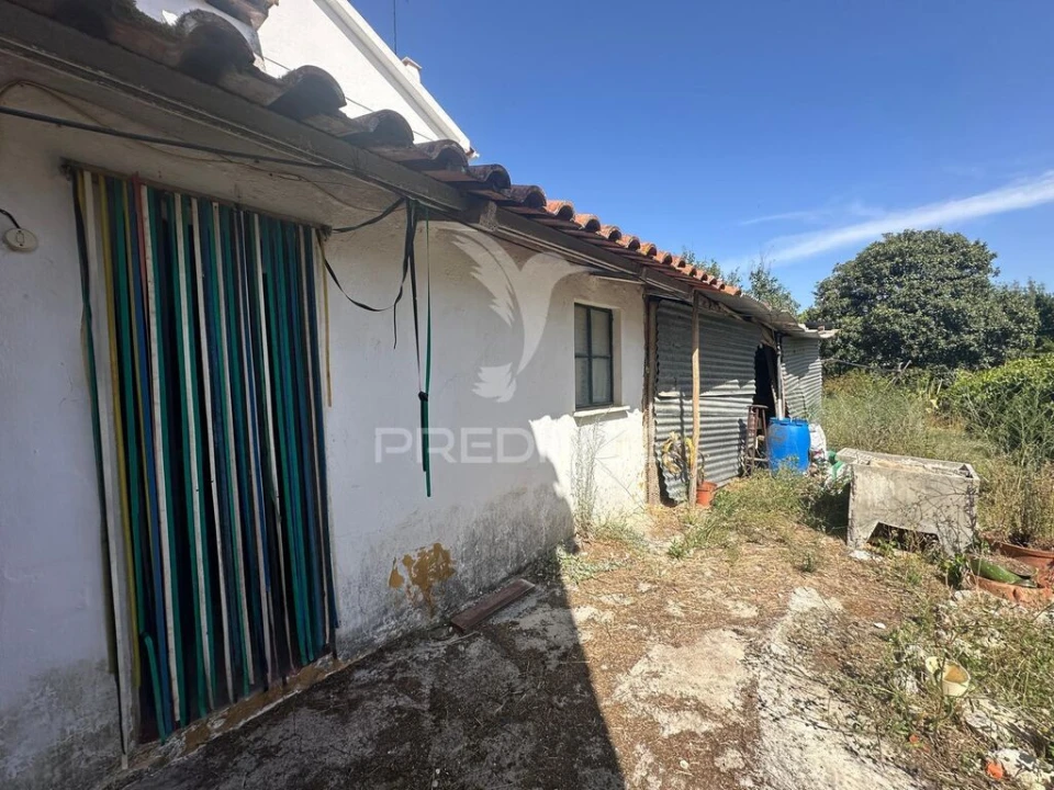 Terreno para Venda em Olaia e Paço Foto 12