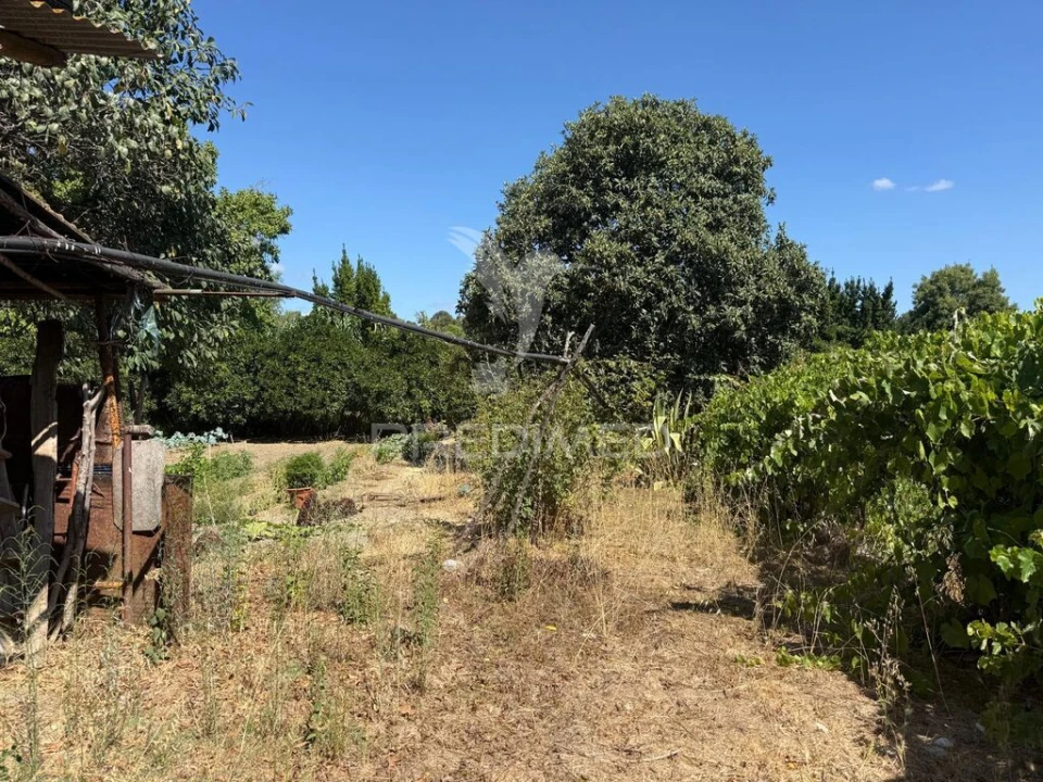 Terreno para Venda em Olaia e Paço Foto 8