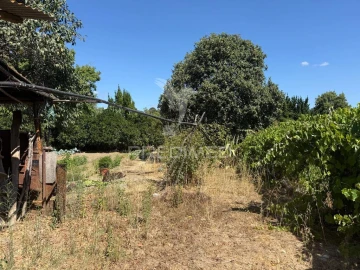 Terreno para Venda em Olaia e Paço
