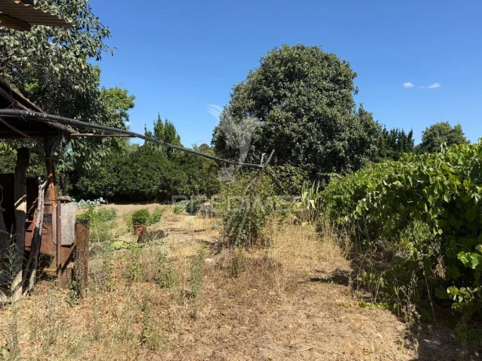 Terreno para Venda em Olaia e Paço Foto 8