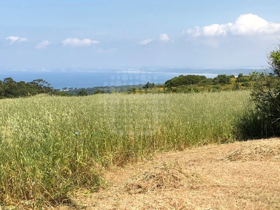 Terreno para Venda em Sesimbra (Castelo) Foto 2