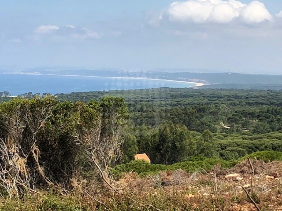 Terreno para Venda em Sesimbra (Castelo) Foto 5
