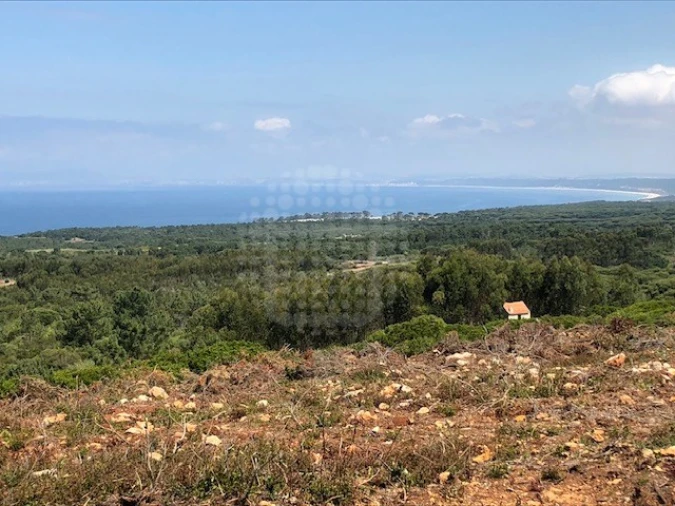 Terreno para Venda em Sesimbra (Castelo) Foto 4
