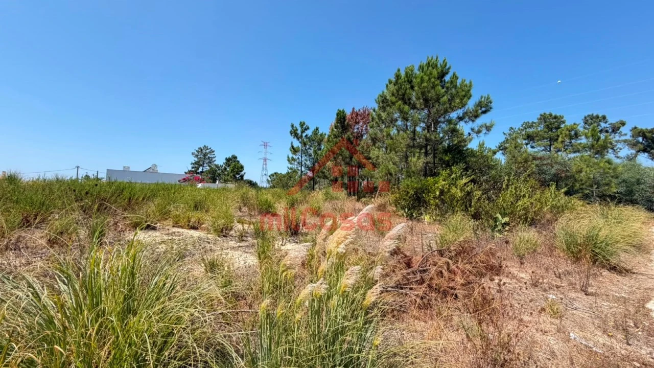 Terreno para Venda em Corroios Foto 14