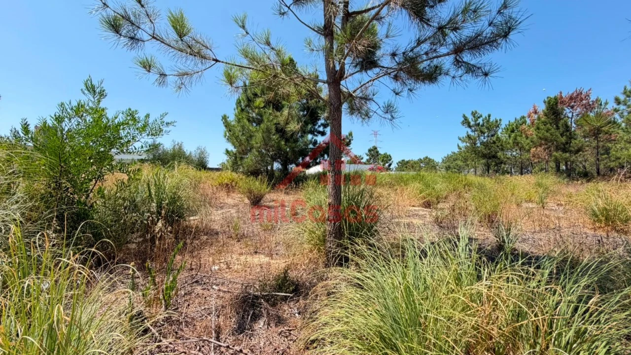Terreno para Venda em Corroios Foto 16