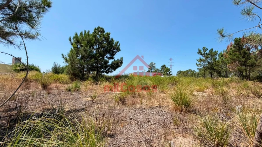 Terreno para Venda em Corroios Foto 15