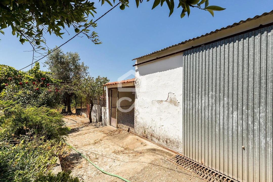 Quinta T1 para Venda em Vila Nova da Baronia Foto 23