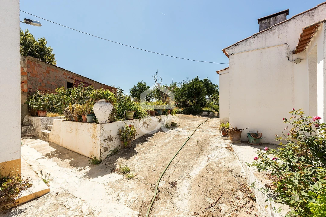 Quinta T1 para Venda em Vila Nova da Baronia Foto 20
